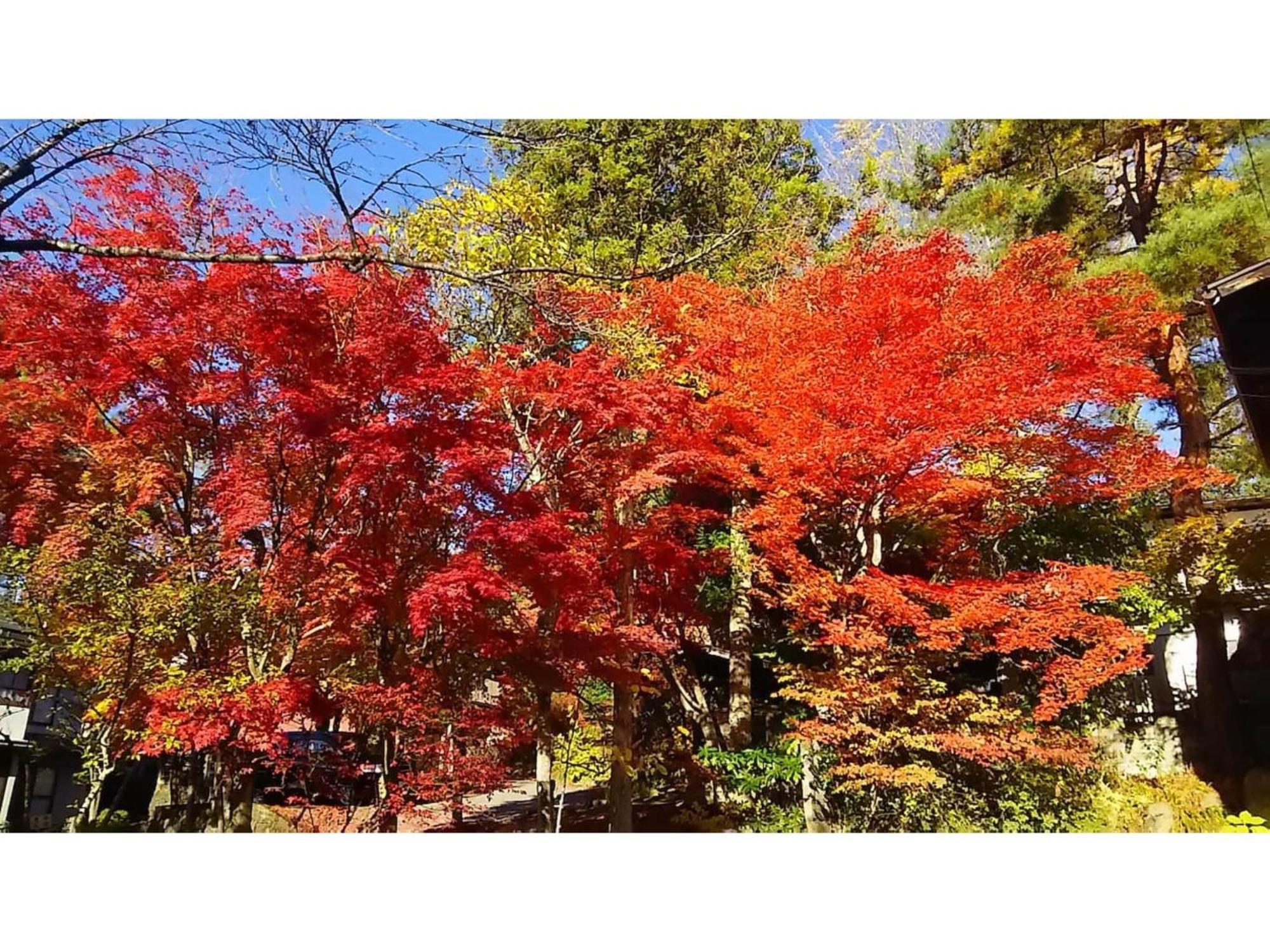 Tomareru Sento Taka No Yu - Vacation Stay 00556V Такаяма Экстерьер фото
